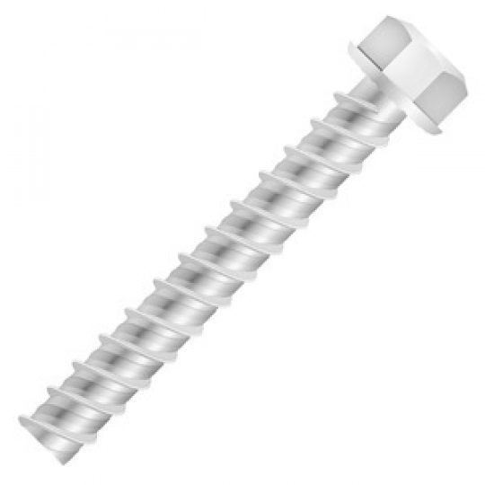 PA AC CONCRETE BOLT 10x60 RI ZB